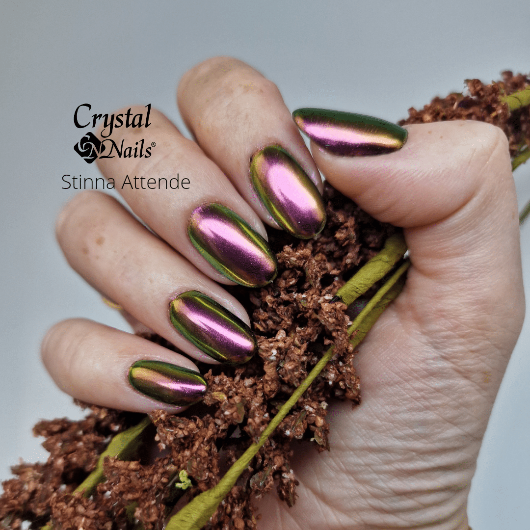 tilnærmelse padle overvældende Gelpolish Kursus | Crystal Nails Denmark